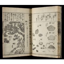 Estampe japonaise "PRINTED BOOK" par Unknown, 無款 (null)