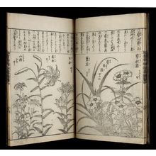 無款: PRINTED BOOK - ハーバード大学