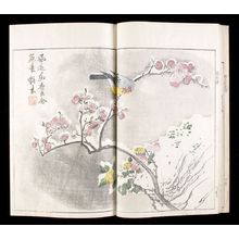 Unknown: Mustard Seed Garden Compendium (Kaishien gaden) based on Chinese Original of 1701, 4th of 6 Volumes, Mid Edo period, 1748 - Harvard Art Museum