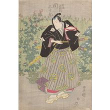 歌川豊国: Actor Seki Sanjurô (One of Three Kabuki Actors), Late Edo period, circa 1820-1825 - ハーバード大学