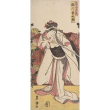 Utagawa Toyokuni I: Actor Segawa Kikunojô (5th of Series of Five Actors) - Harvard Art Museum