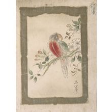 Suiwake: Parrot and Peach Blossoms, from the series Six Pictures of Birds and Flowers - Harvard Art Museum