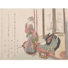 柳々居辰斎: Man Playing Samisen for a Courtesan, from the series Comparison of Birds - ハーバード大学