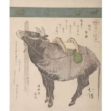 Totoya Hokkei: Ox, from the series A Collection of Thirty-Six Birds and Animals (Sanjûroku tori zukushi), Edo period, circa 1825 - Harvard Art Museum