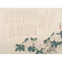 日本版画 "SURIMONO WITH POEMS, PEONIES AND ROCK, Late Edo period, circa 1820-1860" 由 Gaku 创作