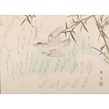 Nakajima Raisho: SURIMONO WITH POEMS, BIRD AND BAMBOO, Late Edo period, circa 1820-1860 - Harvard Art Museum