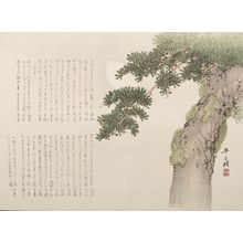 日本版画 "SURIMONO WITH PINE TREE AND MOON, Late Edo period, 1820-1860" 由 Hira Shimyo 创作