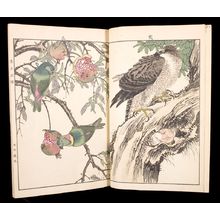 Unknown: Flowers and Birds of Keinen (Keinen kacho gafu) - Harvard Art Museum