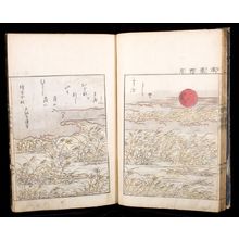 Unknown: ILLUSTRATED WITH JAPANESE PRINTS - Harvard Art Museum