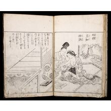 Unknown: ILLUSTRATED WITH JAPANESE PRINTS - Harvard Art Museum