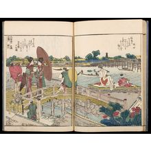 無款: Picture Book Sumida River A Glance of Both Shores (Ehon Sumida gawa ryogan ichiran), Vol. 1 - ハーバード大学