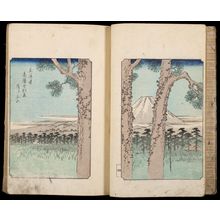 Unknown: ILLUSTRATED WITH JAPANESE PRINTS - Harvard Art Museum