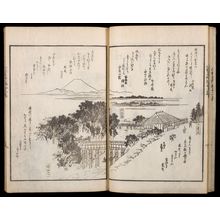 歌川広重: Illustrated Satirical Poems About Famous Scenic Views in Edo (Kyôka Edo meisho zue), Vol. 2, Late Edo period, dated 1856 (Ansei 3, 5th month) - ハーバード大学