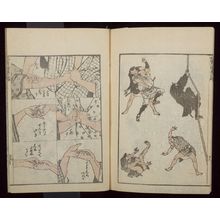 葛飾北斎: Random Sketches by Hokusai (Hokusai manga) Vol. 6, Late Edo period, dated 1817 - ハーバード大学