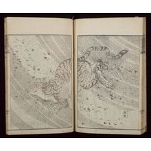 葛飾北斎: Random Sketches by Hokusai (Hokusai manga) Vol. 13, Late Edo period, dated 1849 - ハーバード大学