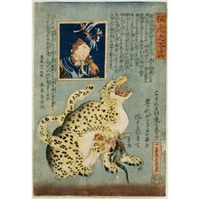落合芳幾: True Life Picture of a Fierce Tiger (Môko no shashin) and Portrait of a Woman Above, published by Shinagawaya, Late Edo period, seventh month of 1860 - ハーバード大学