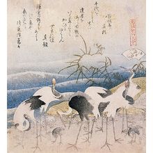 Katsushika Hokusai: Cranes on the Seashore/The Reed Shell (Ashigai), from the series 