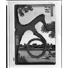 歌川広重: Moon Pine, Ueno (Ueno sannai Tsuki no matsu), Number 89 from the series One Hundred Famous Views of Edo (Meisho Edo hyakkei), Late Edo period, dated 1857 (8th month) - ハーバード大学