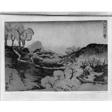 歌川国貞: MAPLE TREES ON A ROAD NEAR A LAKE, Edo period, 1836 - ハーバード大学