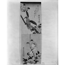 Unknown: TWO VIEWS OF A BIRD ON A BRANCH - Harvard Art Museum