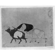 Unknown, 無款 (null)による浮世絵「CATTLE」