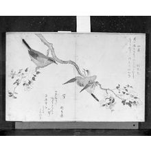 Unknown: ILLUSTRATED WITH JAPANESE PRINTS - Harvard Art Museum