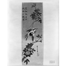 Utagawa Hiroshige: A YELLOW BIRD AND CLEMATIS - Harvard Art Museum