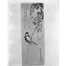 Utagawa Hiroshige: WISTERIA AND WOOD-CRACKER BIRD - Harvard Art Museum