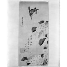 Utagawa Hiroshige: HYDRANGEA FLOWERS AND KINGFISHER - Harvard Art Museum