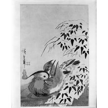 Ando Hiroshige, 歌川広重 (Andô Hiroshige)による浮世絵「MANDARIN DUCKS AND SNOW-LADEN BAMBOO」