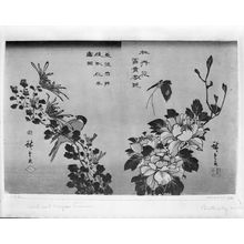 Utagawa Hiroshige: RIGHT: BIRD AND CHRYSANTHEMUM, LEFT: BUTTERFLY AND PEONIES - Harvard Art Museum