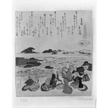 葛飾北斎: Women Picnicing by the Tama River/The Short-Necked Clam Shell (Asarigai), from the series Shell-Matching Game with Genroku Poets (Genroku kasen kai-awase), Edo period, datable to 1821 - ハーバード大学