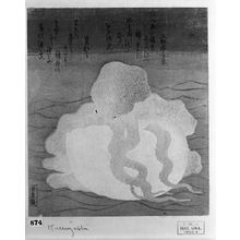 Utagawa Kuniyoshi: Octopus and Shell, Late Edo period, circa 1820-1825 - Harvard Art Museum
