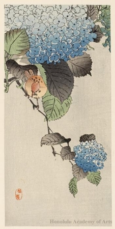 Kono Bairei: Bird on Hydrangea branch. - Honolulu Museum of Art