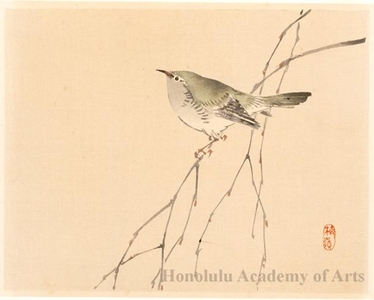 Kono Bairei: Bird on a Branch (descriptive title) - Honolulu Museum of Art