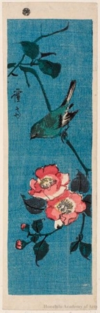 渓斉英泉: Bird and Flower - ホノルル美術館