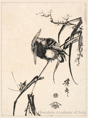 渓斉英泉: Kingfisher and Grasshopper - ホノルル美術館