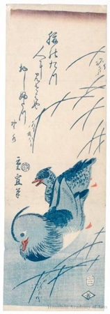 二歌川広重: Mandarin Ducks and Willow - ホノルル美術館