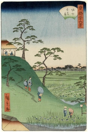 Utagawa Hiroshige II: Iris Fields at Horikiri - Honolulu Museum of Art