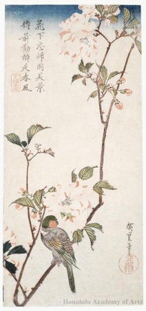 Utagawa Hiroshige: Aronia and Bullfinch - Honolulu Museum of Art