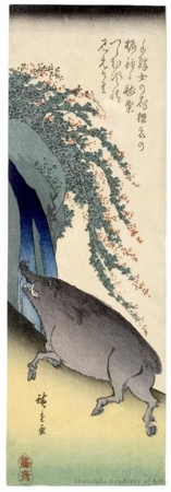 歌川広重: Japanese Bush Clover and a Wild Boar - ホノルル美術館