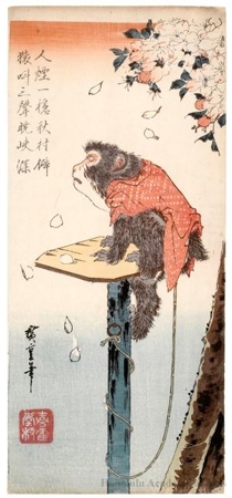歌川広重: Monkey Tied with a Rope to a Cherry Tree - ホノルル美術館