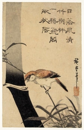 歌川広重: Sparrow and Bamboo - ホノルル美術館