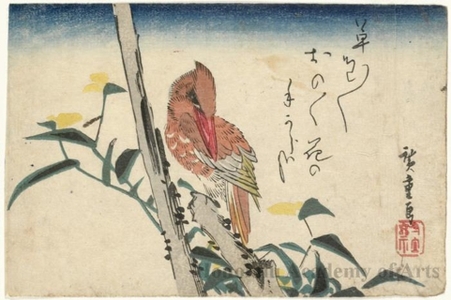 Utagawa Hiroshige: Kingfisher and Yellow Blossoms (Descriptive Title) - Honolulu Museum of Art