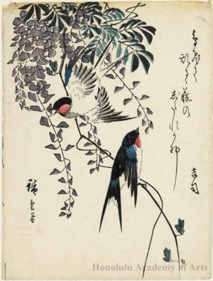 Utagawa Hiroshige: Swallows and Wisteria Branch (Descriptive Title) - Honolulu Museum of Art