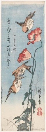 Utagawa Hiroshige: Sparrows and Poppies - Honolulu Museum of Art