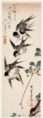 Utagawa Hiroshige: Five Swallows in Flight above a Branch of Cherry (the blossoms having gone to seed) - Honolulu Museum of Art
