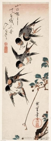 Utagawa Hiroshige, 歌川広重 (Utagawa Hiroshige)による浮世絵「Five Swallows in Flight above a Branch of Cherry (the blossoms having gone to seed)」