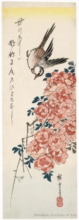 Utagawa Hiroshige: Rose and Japanese Wagtail - Honolulu Museum of Art