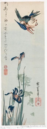 Utagawa Hiroshige: Kingfisher and Iris - Honolulu Museum of Art